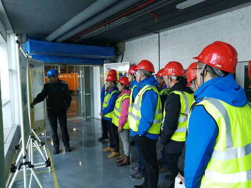 技術合作促發展，紐荷蘭攜手新伙伴共譜新篇